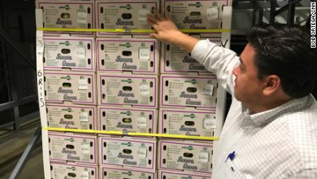 Jaime Chamberlain, co-owner of Chamberlain Distribution Inc., showed boxes of Mexican gray squash on the US side of the border. Unpredictable border policy is making it difficult to plan.