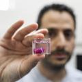 A researcher holds a 3D printed prototype of a human heart in Tel-aviv University.