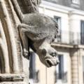 03 notre dame_gargoyle