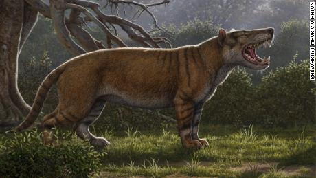 This giant carnivore ruled at the top of the food chain after the dinosaurs went extinct.