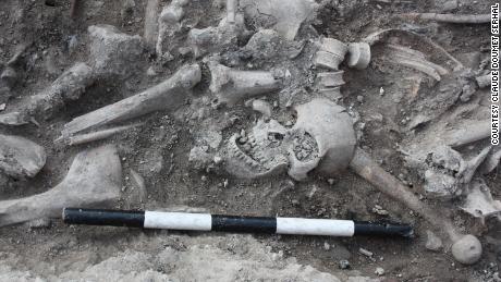 Skeleton DNA reveals surprising backgrounds of Crusader soldiers