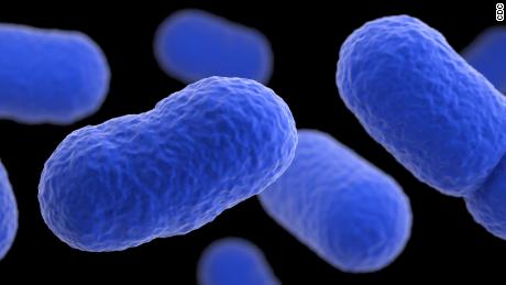 This illustration depicts a three-dimensional (3D) computer-generated image of a grouping of Listeria monocytogenes bacteria. The artistic recreation was based upon scanning electron microscopic (SEM) imagery.