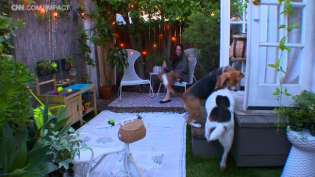 Whitney Leigh Morris and her dogs live large in their small bungalow.