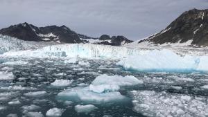 Tidewater glacier in Southeast Greenland, summer of 2018