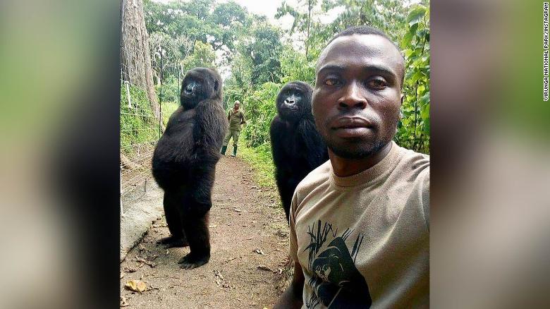 The photobomb that turned Ndakasi into a viral sensation in 2019