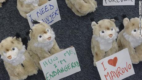 The campaign displayed fluffy lynxes outside the EBRD annual meeting, Warsaw, 2014.