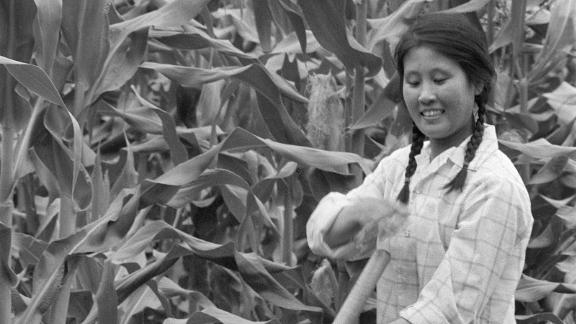 A young intellectual woman working in June 1974 a field in a state farm in Harbin as she takes part in a "political re-education" program.