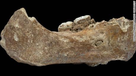 First evidence of mysterious, ancient humans called Denisovans found outside of their cave