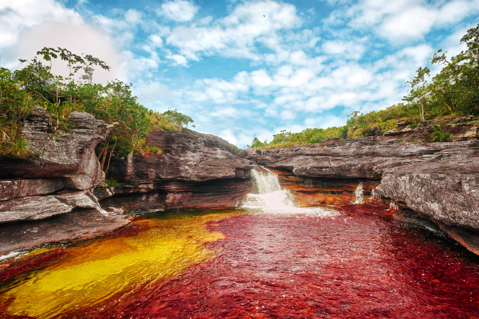 Caño Cristales: Colombia's spectacular 'liquid rainbow' | CNN Travel