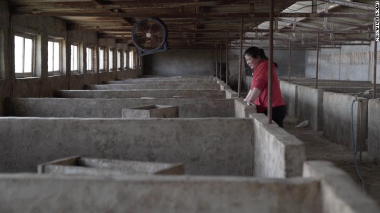 Pig farmer Zhang Haixia cries over an empty pen after losing all her animals to African swine flu in early 2019.