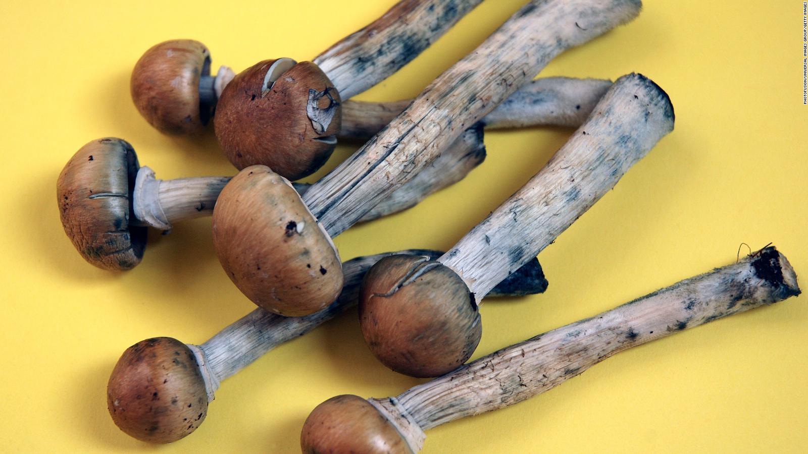 Denver is voting to decriminalize hallucinogenic mushrooms - CNN