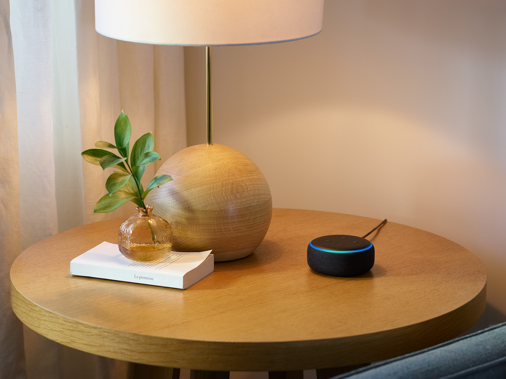 amazon echo home security