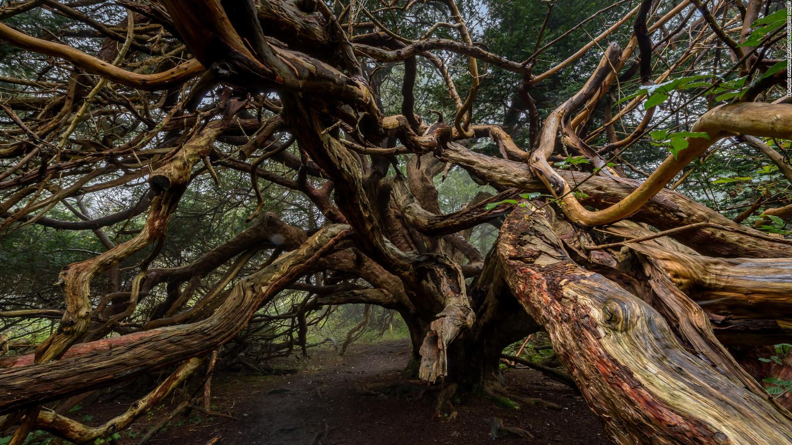 Rise Beloved Fradrage 24 of the planet's strangest natural wonders (photos) | CNN Travel
