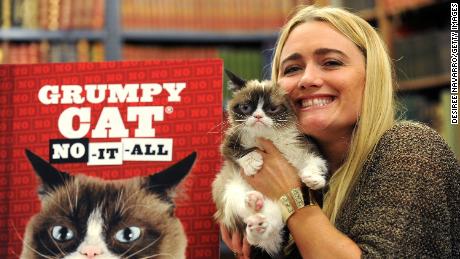 Grumpy Cat found quick success. Other celebrity pets might have it harder