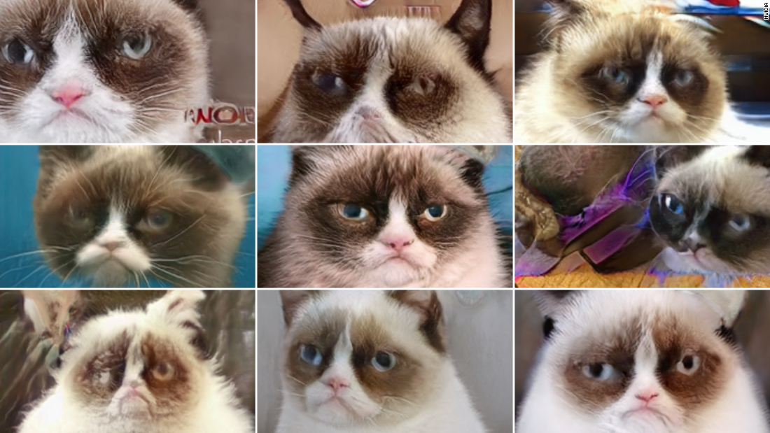 Grumpy Cat Is Dead But Will Live On Through Ai Cnn