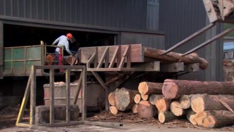 How tariffs are hurting US lumber