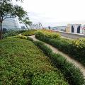 singapore green roof