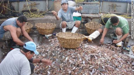 Fishermen sort through the haul on a Mexican trawler.