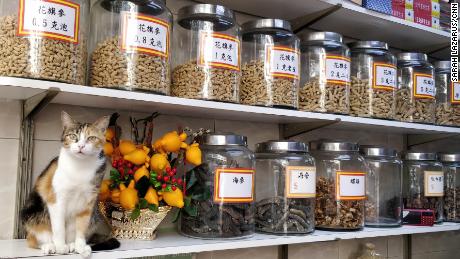 A herbal medicine shop in Sheung Wan. The cat is not for sale.