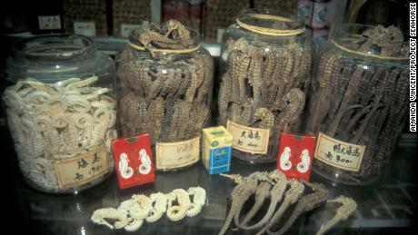 Seahorses for sale in Hong Kong&#39;s Sheung Wan district.