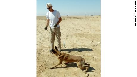 Der, a retired mine detection dog, works in Syria in this undated photo.