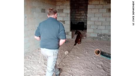 Rhino, a retired mine detection dog, works in Syria in this undated photo.