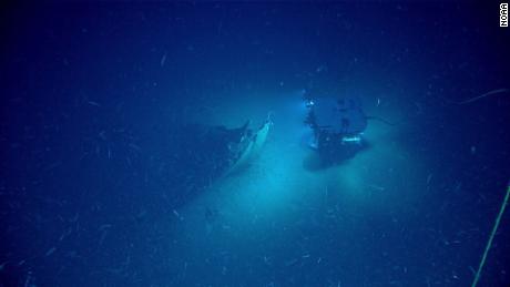 ROV Deep Discoverer approaches the bow of the shipwreck.