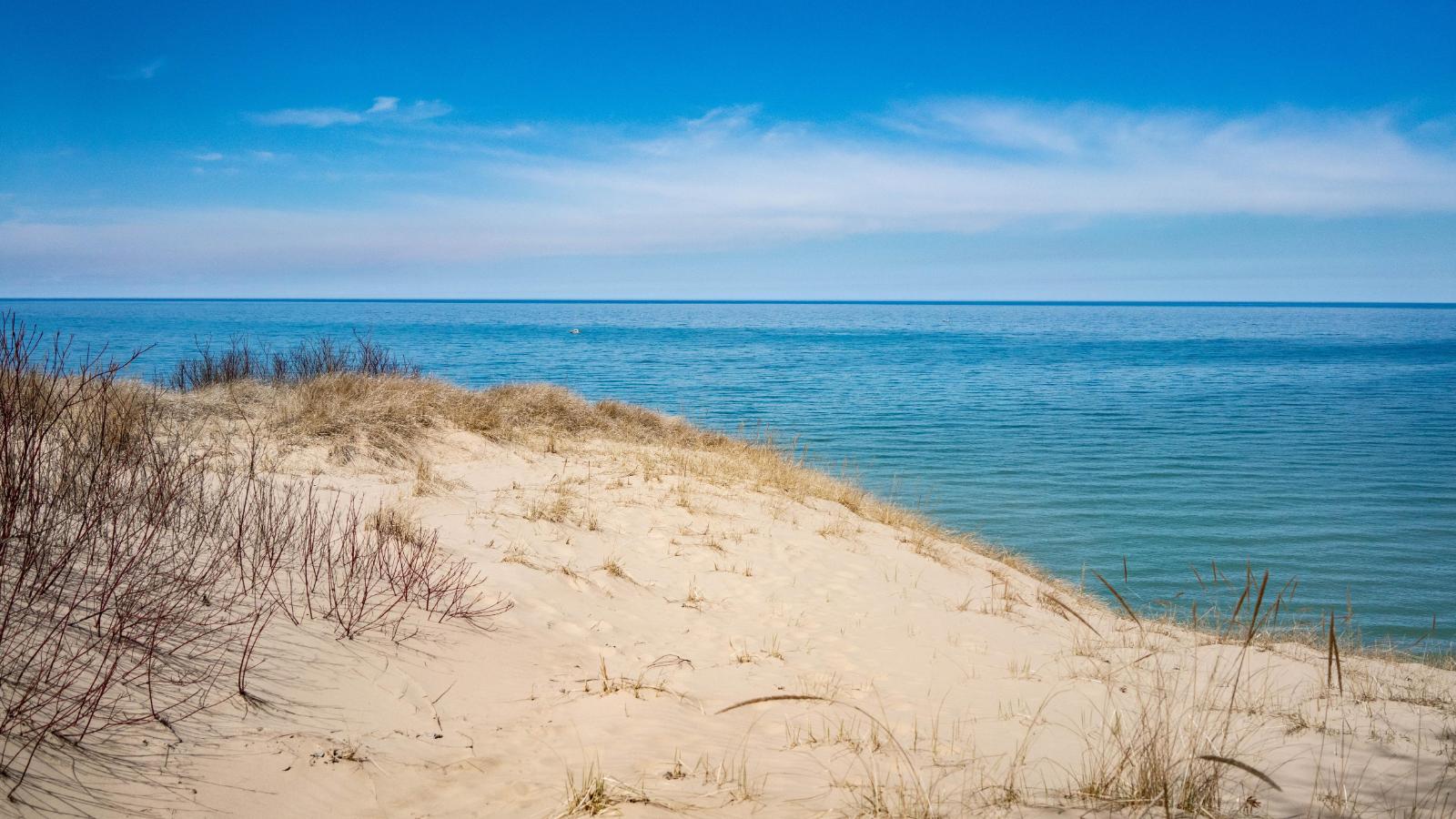 are dogs allowed at the indiana dunes