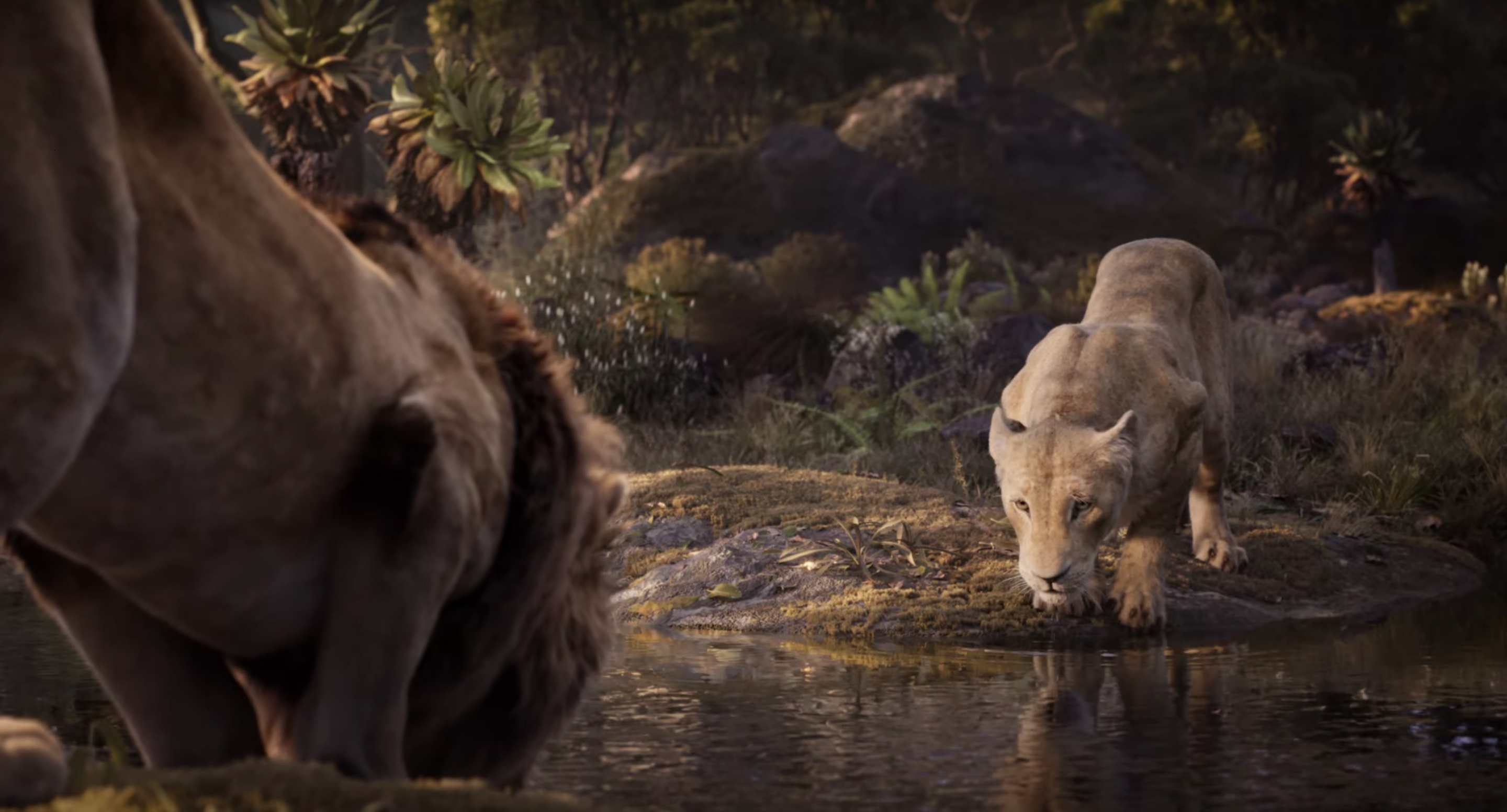 The Lion King Review Director Jon Favreau Hits Familiar Notes In Adapting Disney Classic Cnn