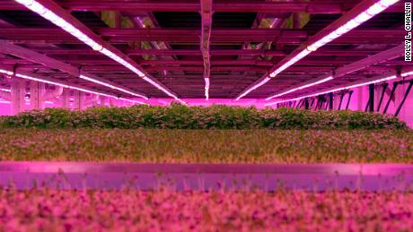 Ocado is getting into the vertical farm business.