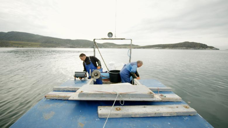 How climate change is threatening fishing on this island