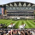 Royal AScot general view straight mile