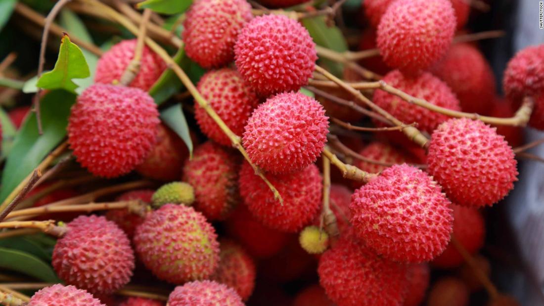 Brain Disease Linked To Lychee Toxins Kills 47 Children In India Cnn,Sansevieria Cylindrica Care
