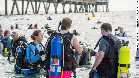 A record-setting 633 divers came from as far as Europe and South America to participate in the underwater cleanup.