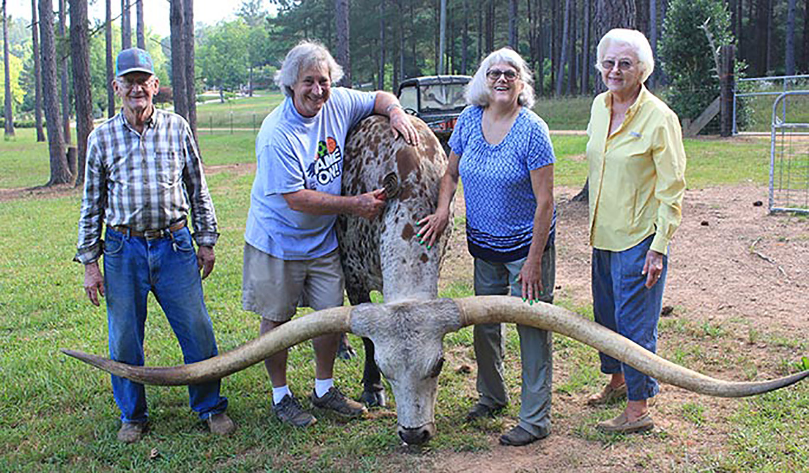 This Steer S Nearly 11 Foot Horns Just Broke A Guinness World Record Cnn