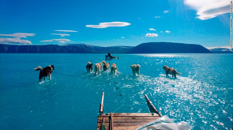 Scientist captures melting ice sheet in viral photo