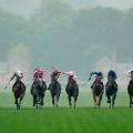 Royal Ascot Circus Maximus St James Palace Stakes day one