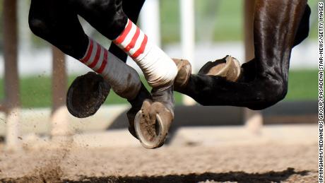 Santa Anita track owners and trainers under investigation after 29 horse deaths