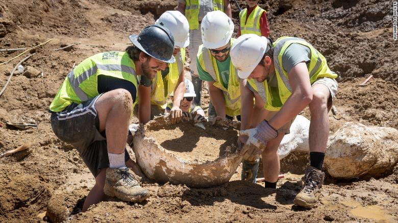 dig it up dinosaur bones