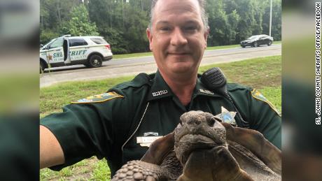 Florida Police Detained A Tortoise For Blocking The Road He Got