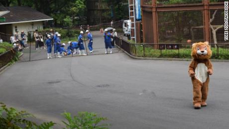 Japanese zoo staff chase furry fake lion in escape drill