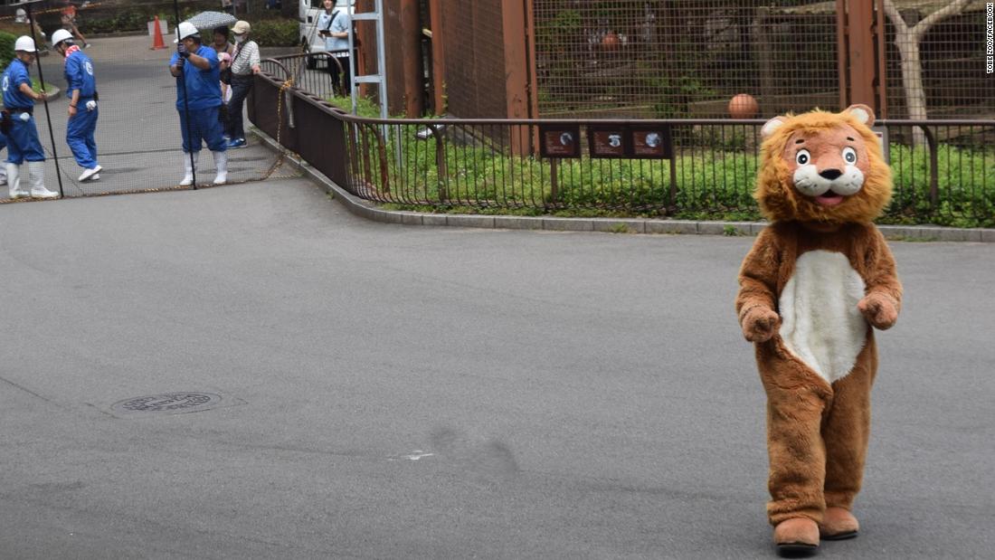 Japanese zoo staff chase furry fake lion in escape drill | CNN Travel