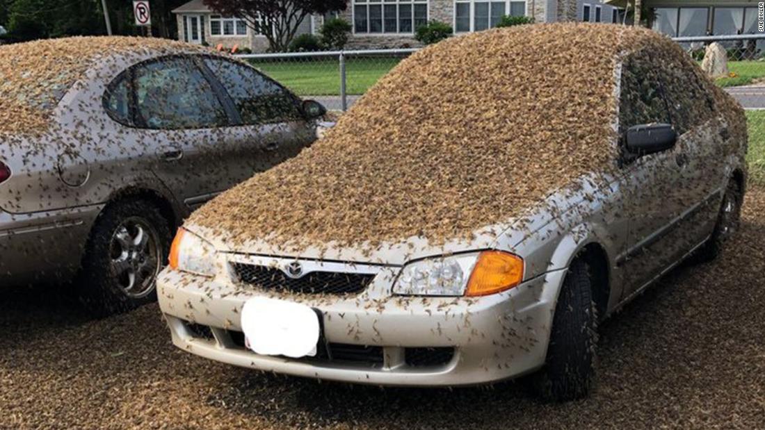 No, that's not dirt, it's a swarm of mayflies that's invaded Ohio CNN