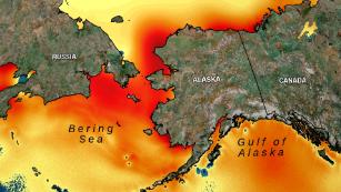 Alaska&apos;s warming ocean is putting food and jobs at risk, scientists say