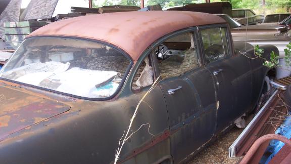 Massive Wasp Nests As Big As A Car Are Appearing In Alabama Again Cnn