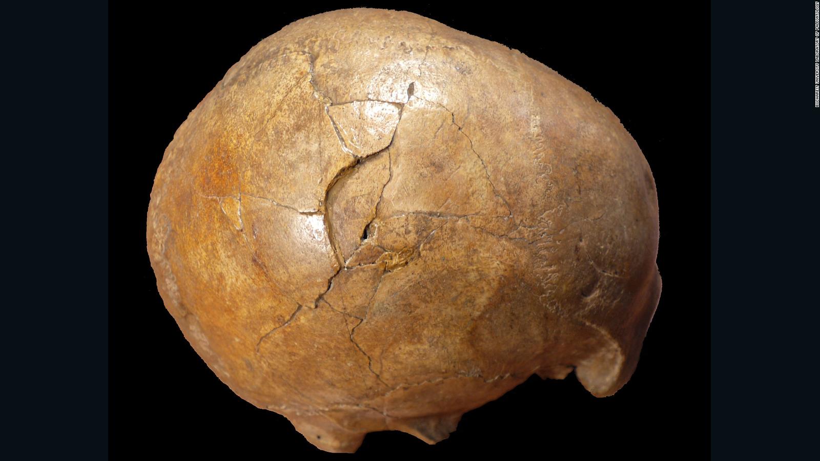 210 000 Year Old Human Skull In Greece Is The Oldest Found Outside   190703110536 Ancient Finds 0703 Full 169 