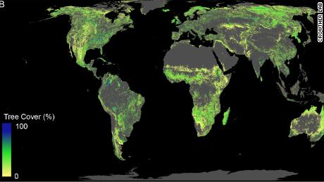 A map fom the study, showing the potential for tree cover, excluding desert, agricultural and urban areas.