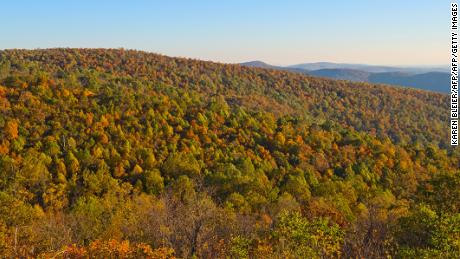 Reforestation could be a powerful tool against climate change, according to a new study. Pictured, Shenandoah National Park in Virginia, October 2013.