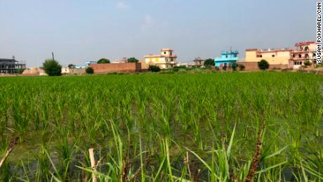 In Hasanpur, a village in the Kurukshetra district in the northern Indian state of Haryana, farming is the main source of income.