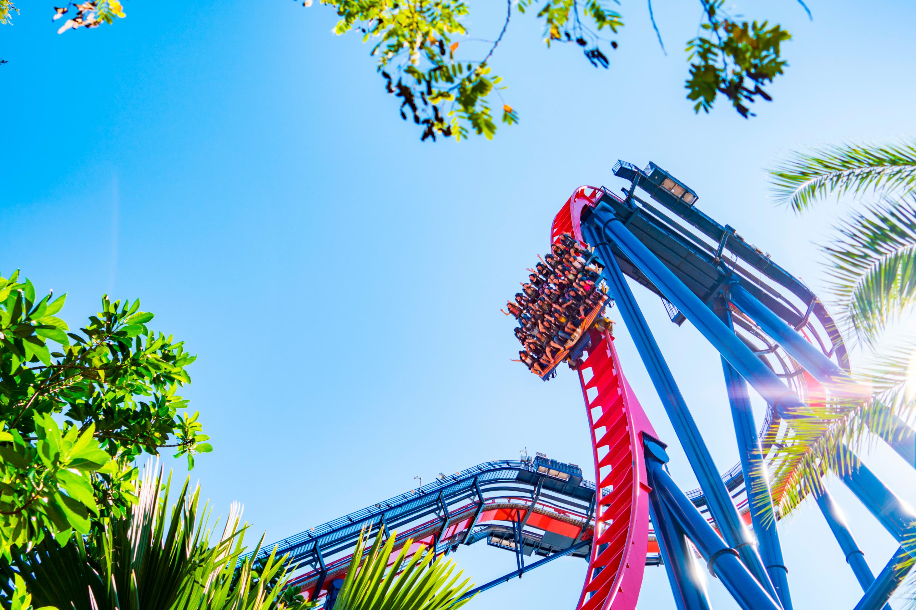 5 scariest roller coaster drops in the world: The hills that ...